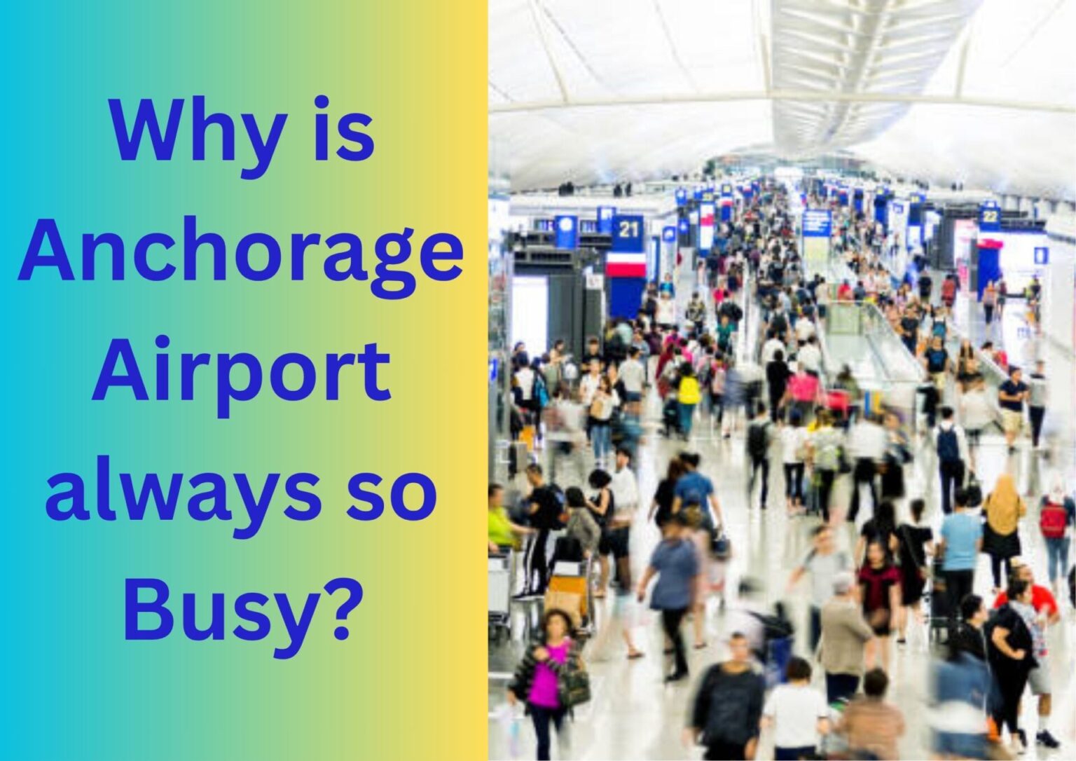 Why Anchorage Airport Is Always So Busy? Why is Anchorage Airport always so Busy