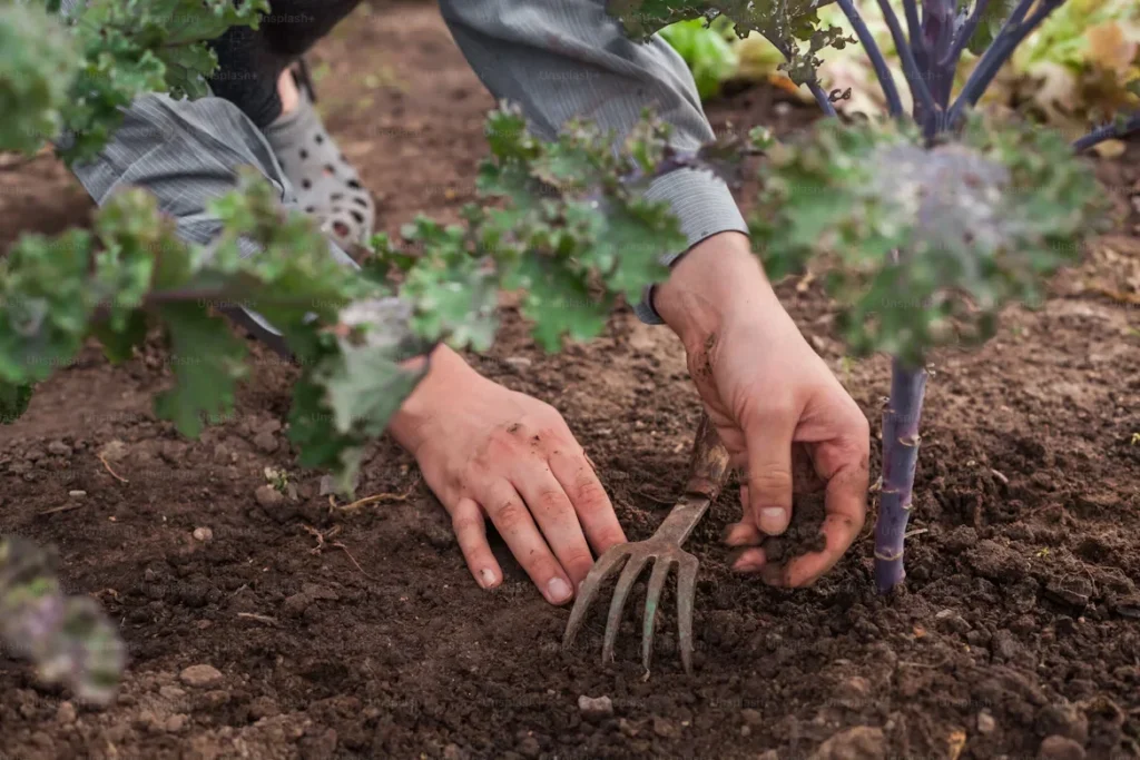 a person digging in the soil