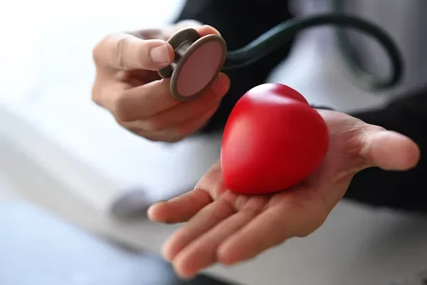 What to Know About Berberine and Its Use in UK Health Trends a person holding heart shape stuff toy and stethoscope hands