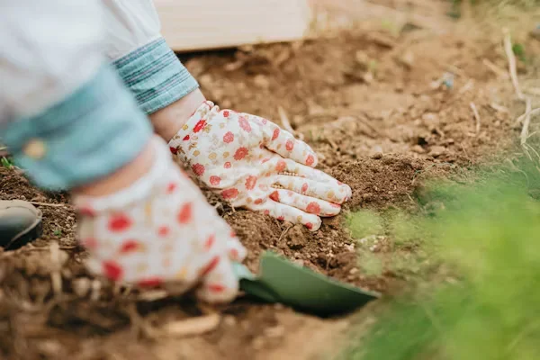a person shoveling in the soil