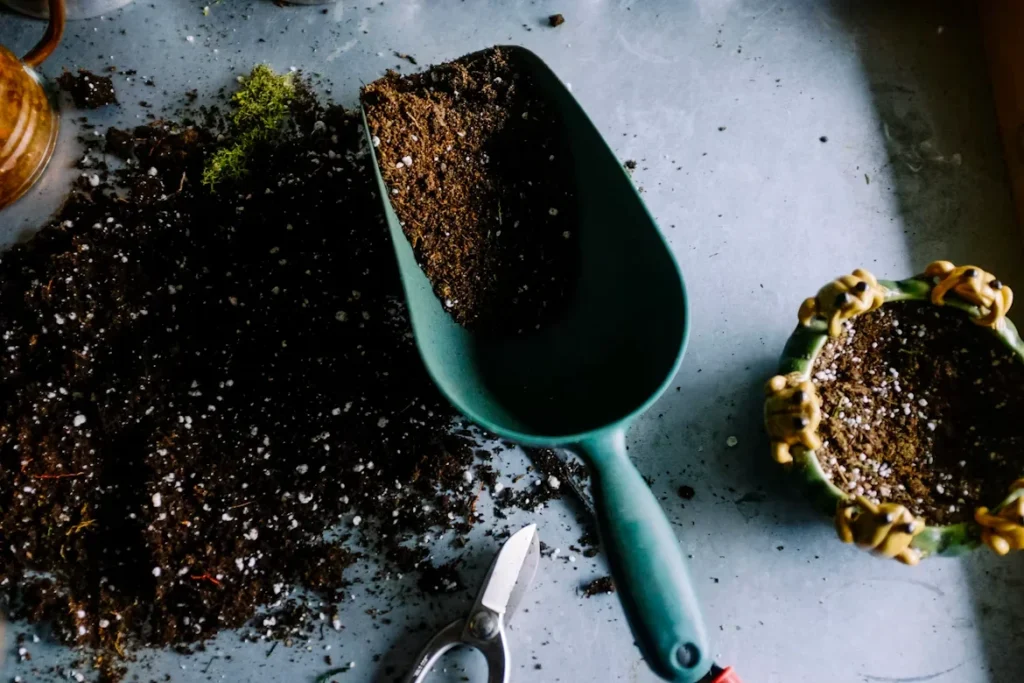 a shovel with a soil