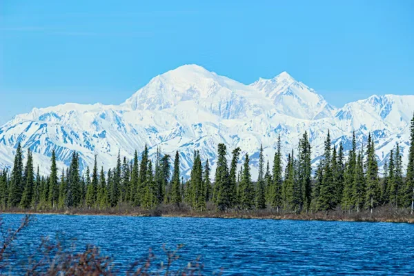 a view off tress and mountains along with a lake