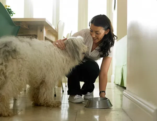 Why Premium Dog Food Improves Your Pet’s Health a woman petting her dog