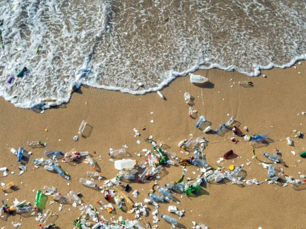 Top Sustainable Fishing Technologies in 2025 crisis