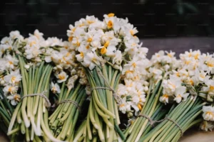 a bunch of flowers on table