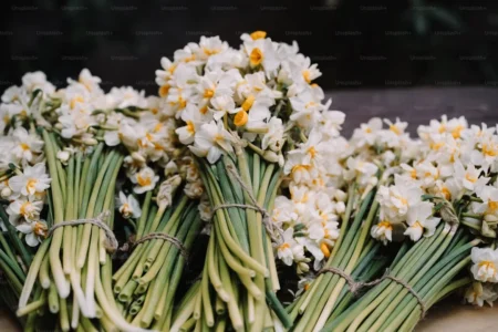 a bunch of flowers on table