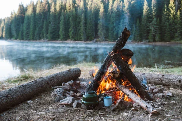Before You Visit Akiachak Alaska: 7 Surprising Facts You Must Know camping site