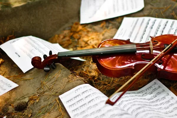 Top Online Platforms for Renting Violins Safely violin and papers on road