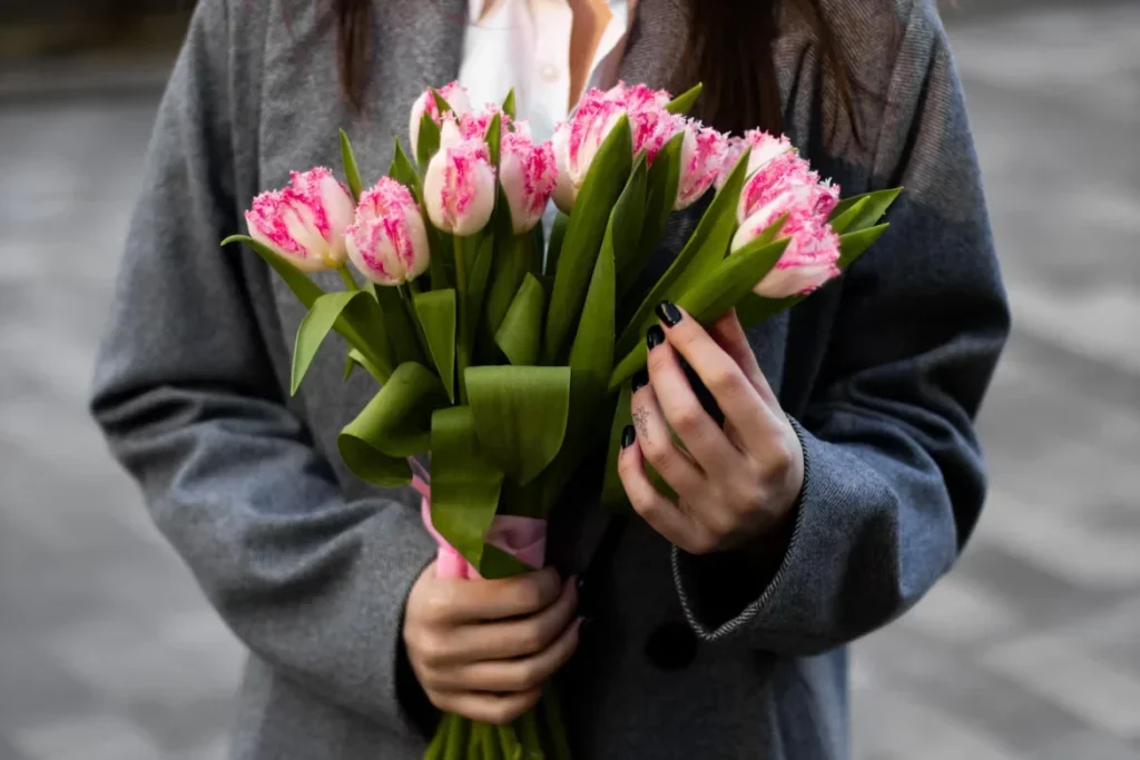 woman holds a beautiful bouquet of pink tulpis