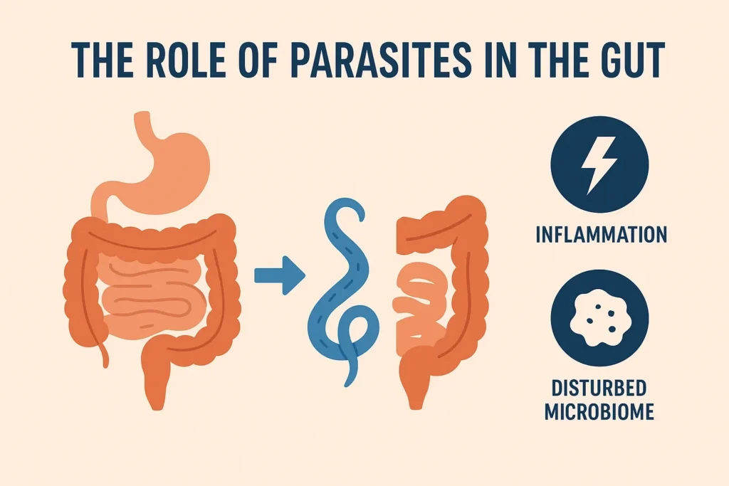 Gut Parasites and Digestive Health