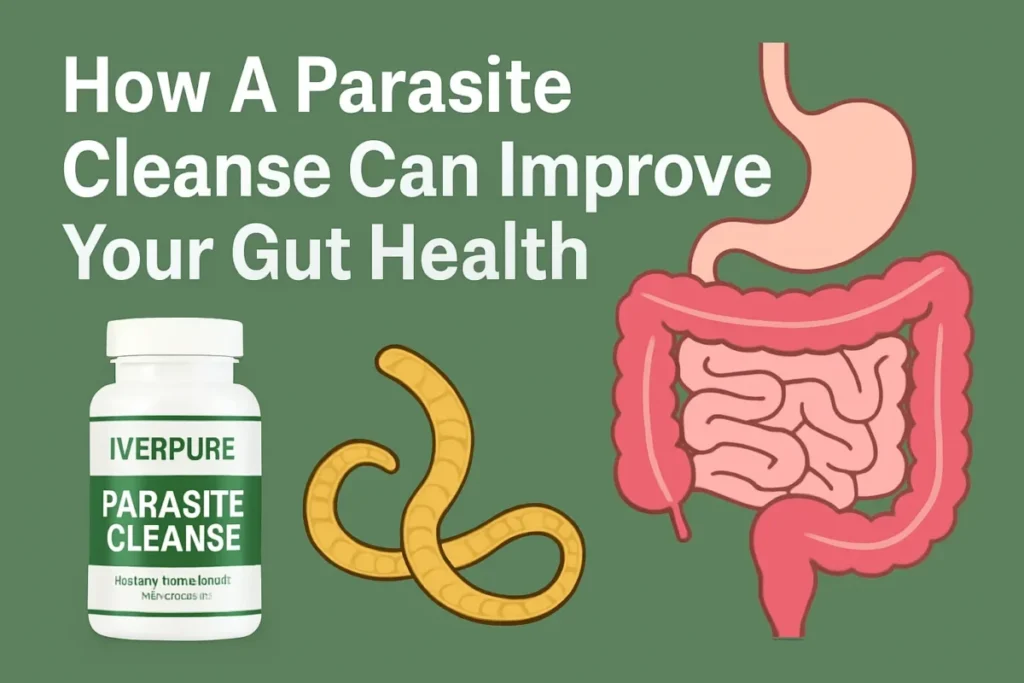 Parasite cleanse for gut health