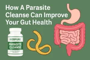 Parasite cleanse for gut health