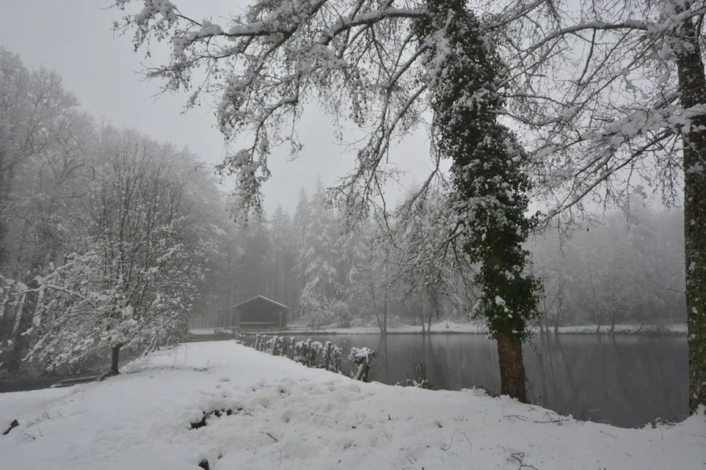 Winter Wellness in Alaska: How You Can Stay Healthy in the Cold Months? Winter Wellness Alaska