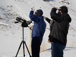 Top 5 Mountains in Alaska: Denali, Wrangell & More – A Quick Traveler’s Guide wildlife-viewing-1-