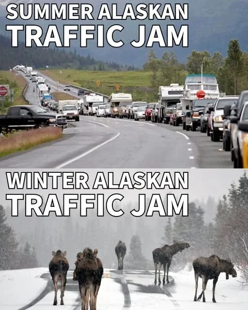 Traffic Comparison