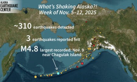 What's shaking alaska