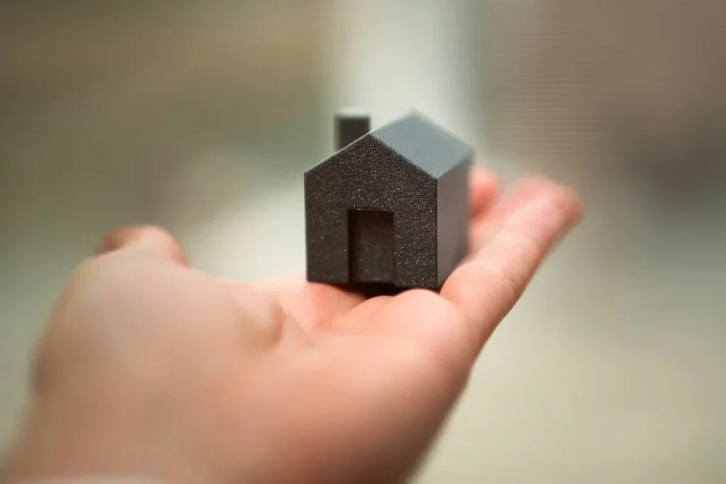 a person holding small house