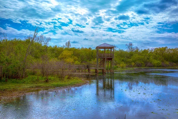 Reflections Lake Wildlife Viewing Tower Closed for Repairs Until Spring 2026 lake view