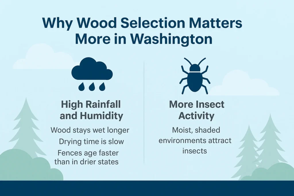 Washington Rainy Climate Wood Infographic