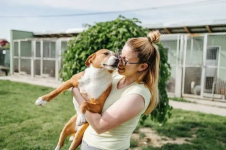 Anchorage Animal Care and Control to Host Holiday Adoption Event at Petco animal adoption