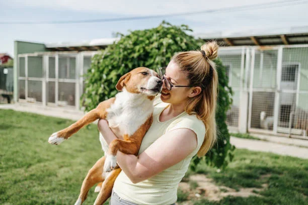 Anchorage Animal Care and Control to Host Holiday Adoption Event at Petco animal adoption