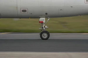 ADF&G Seeks Public Input on Wheeled Aircraft Landings at McNeil River State Game Sanctuary landing