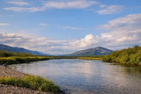 Goodnews River on a summer day