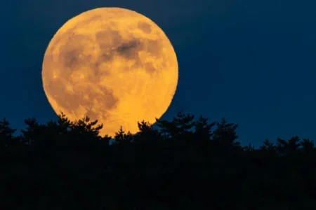 Super Wolf Moon to Light Up the Sky as 2026 Begins Super Moon