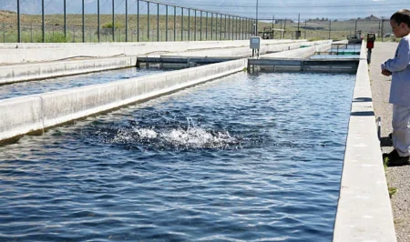 Fur Sewing Handbands Workshop Coming to Anchorage Hatchery in March