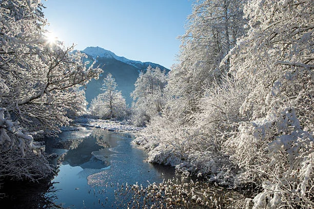 Relentless Alaska Winter Weighs on Longtime Science Writer Ned Rozell