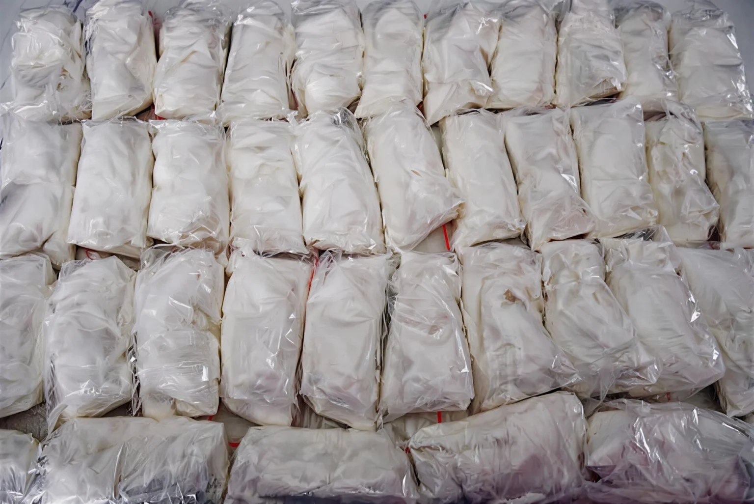 Woman Arrested With Nearly 30 Pounds of Cocaine While Traveling With Child, Authorities Say