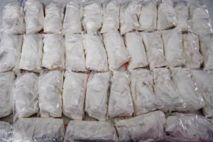 Woman Arrested With Nearly 30 Pounds of Cocaine While Traveling With Child, Authorities Say