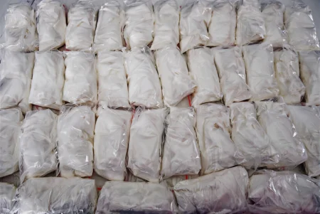 Woman Arrested With Nearly 30 Pounds of Cocaine While Traveling With Child, Authorities Say