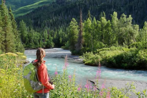 Which Anchorage Tours Are Actually Worth Booking in 2026?